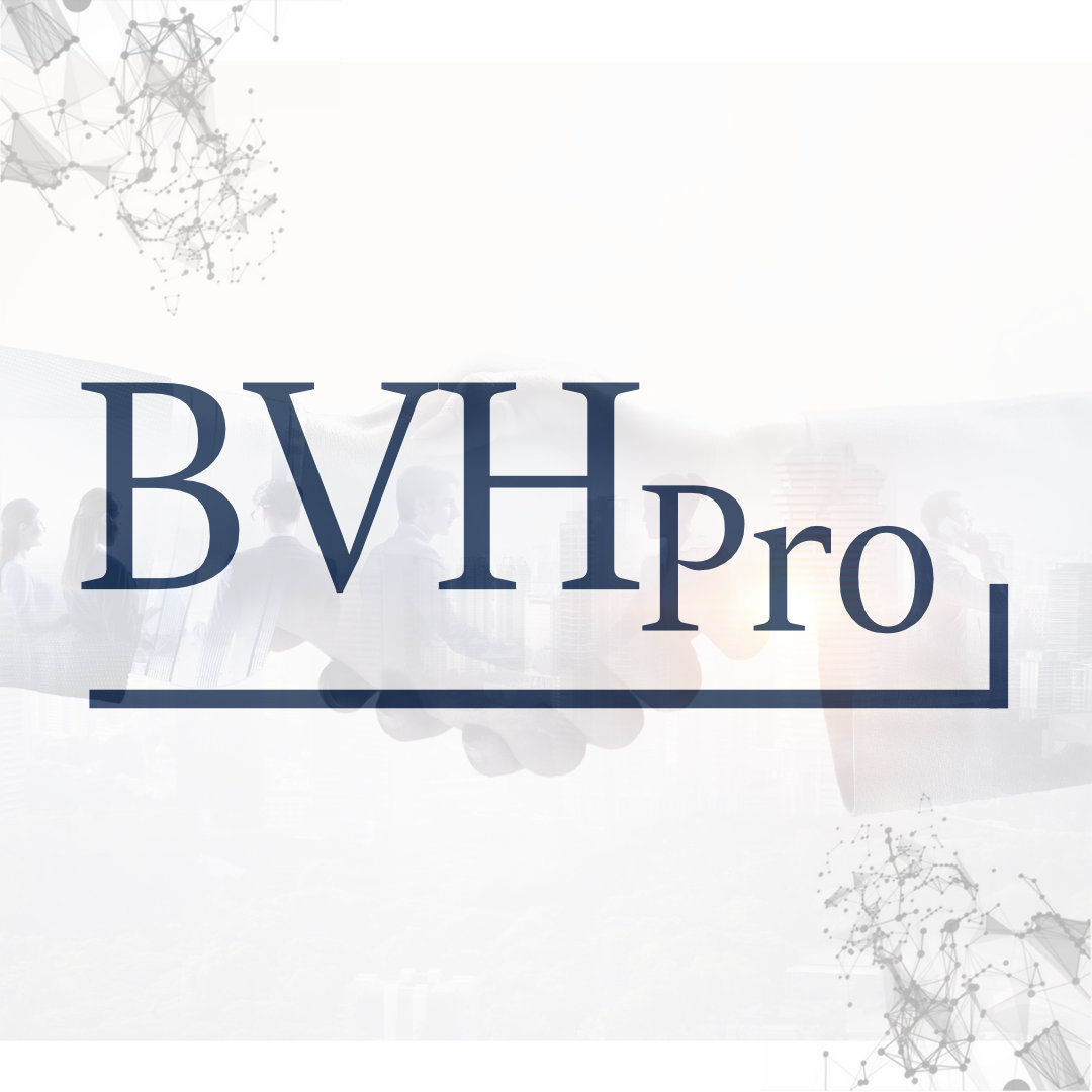 Shareholder & Managing Director, BVHPro gUG